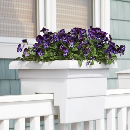 Root & Vessel Countryside Railing Planter Box, 16 Inch, White - Image 2