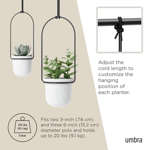 Umbra Triflora Hanging Planter, Set of 5, White (Pack of 3) - Image 5