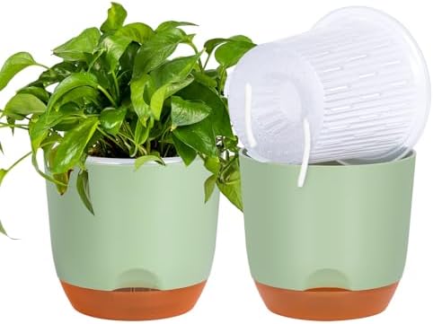 QCQHDU 2 Pack 7.2 Inch Orchid Pots with Holes for Repotting, Double-Layer and Self Watering Orchid Pot with Good Air Circulation - Image 2