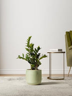 LE TAUCI Ceramic Pots for Plants, 8.3/7/6 Inch Indoor Planters with Drainage Holes & Mesh, Modern Glossy Glaze Cylinder Fluted Plant Pot for Snake Plant, Set of 3, Sage Green - Image 3