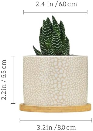 Brown Leopard Print Planters Ceramic African Animal Stripe Round Plant Pot with Drainage Holes and Bamboo Tray Pot for Succulents Cactus Garden Windowsill - Image 2