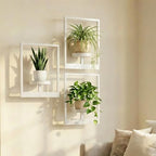 Picture Frame Wall Planters Set of 3, Modern Metal Hanging Shelves for Plants, Rustproof Wall Mount Flower Pot Holder for Indoor Outdoor, Decorative Plant Stand for Living Room Patio, White by Bbteroiu