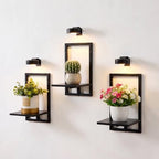 Wall Plant Holder with Grow Lights, Picture Frame Plant Shelves (3, Black) by Orvado