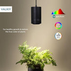 Hanging Grow Light 40W Large, Full Spectrum Warm White Color, with Timer, Plug-in Pendant Grow Lights with 15FT Fabric Power Cord, Decorative Light for Indoor Plants, Flowers - Image 3