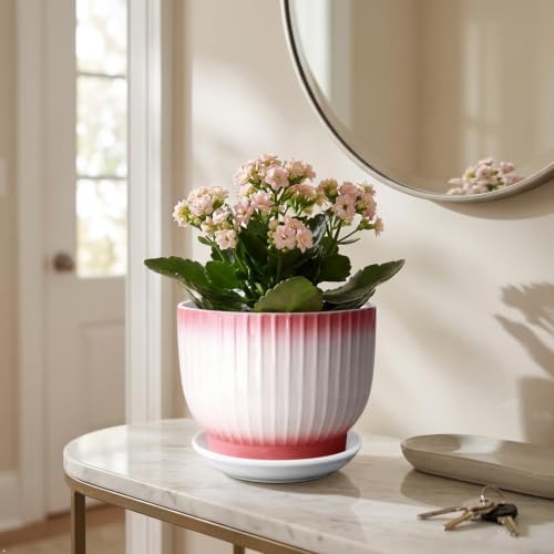 8 Inch Ceramic Plant Pot, Pink + White - Image 5