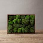 2 Color Mix Pack Preserved Pole Moss Pillow Bun Cushion Natural Decorative Green DIY Kit Art Wall Decor Florist Decor Easter Table Decor Wedding(1.5 sq.ft, Green-A,Green-B) - Image 3
