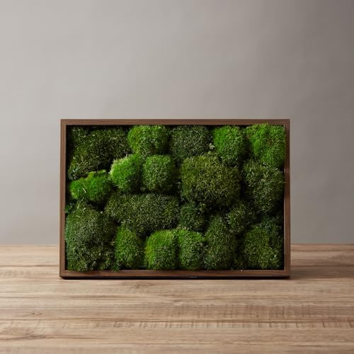2 Color Mix Pack Preserved Pole Moss Pillow Bun Cushion Natural Decorative Green DIY Kit Art Wall Decor Florist Decor Easter Table Decor Wedding(1.5 sq.ft, Green-A,Green-B) - Image 3