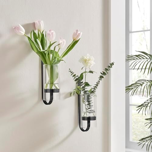 2 Piece Iron Glass Vase, Bottle Flower Vase, Hanging Metal Plant Stand, Metal Iron, Creative Wall Hanging by CISEANOL