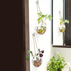 Ticway40 Pack Heart Shaped Ceiling Hooks with Safety Buckle Black - Image 3