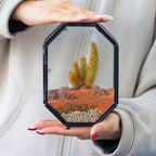 NCYP Mini Vented Glass Terrarium with Vent and Door for Jumping Spiders - Octagon Small Spider Enclosure, Black, Tabletop Decor, 5 x 2.3 x 7 Inches (Terrarium Only) - Image 5