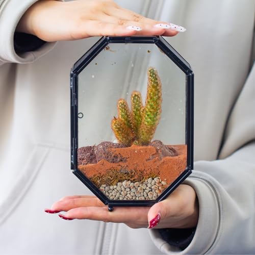 NCYP Mini Vented Glass Terrarium with Vent and Door for Jumping Spiders - Octagon Small Spider Enclosure, Black, Tabletop Decor, 5 x 2.3 x 7 Inches (Terrarium Only) - Image 5