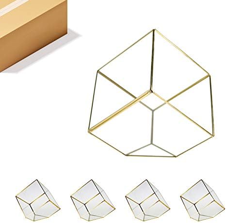 WGVI WGV Geometric Planter Terrarium Bulk, Clear Glass with Gold Frame, Tilted Cube, Width 11.5" Height 12", DIY Succulent Air Plant Miniature Fairy Garden Windowsill Tabletop Decor, 4 Pieces by WGVInternational-OpusGlassware