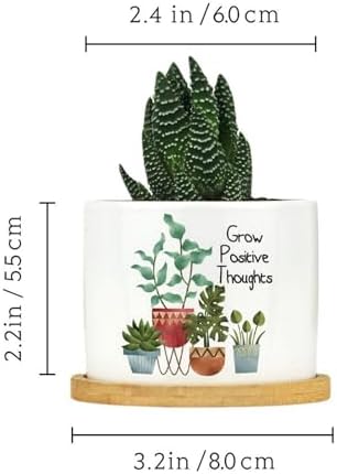 DreamAutumn Pack of 3 Grow Positive Thoughts Planter Ceramic Round Plant Pots with Drainage Holes and Bamboo Tray Planting Small Flower Pots for Home Windowsill Desk Garden Indoor Outdoor Use - Image 2