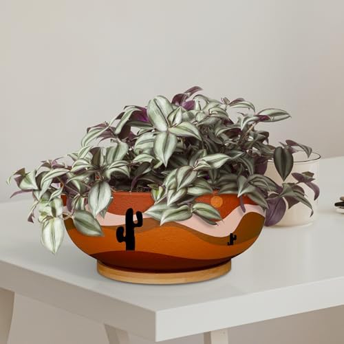 SQOWL 10 Inch Large Terracotta Planter Pot,Clay Succulent Bonsai Planter with Drainage Hole and Bamboo Saucer for Indoor Plants - Image 5