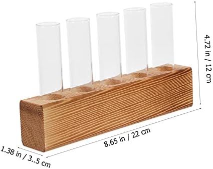 Hydroponic Test Tube Vase Set with Wood Stand for Desk Plants - Image 2