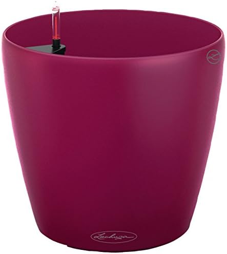 Lechuza 13205 Classico Color 28 Self-Watering Garden Planter for Indoor and Outdoor Use, Purple Garnet Matte by LECHUZA