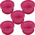 Flower Pots with Saucers, 9 inch, Pink, Case of 5 by AustinPlanter