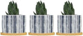 Blue French Ticking Stripes Planters Ceramic Feather Ticking Pattern Round Plant Pots with Drainage Holes and Bamboo Tray Pot for Home Desktop Office Windowsill by BRUYU5SE