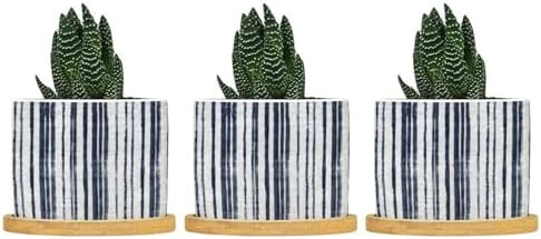 Blue French Ticking Stripes Planters Ceramic Feather Ticking Pattern Round Plant Pots with Drainage Holes and Bamboo Tray Pot for Home Desktop Office Windowsill by BRUYU5SE