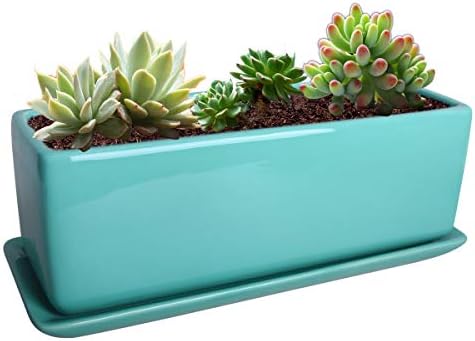 Vencer 12 Inch Rectangular Modern Minimalist Ceramic Succulent Planter Pot - Window Box with Saucer,Office Desktop Potted Stand,Turquoise,VF-0135T by Vencer