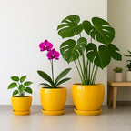 Deep Dream 8 Inch Plant Pots- Ceramic Pots for Plants with Drainage Hole and Saucer, Large Planter Pot for Indoor Plants Outdoor Decor, Yellow - Image 5
