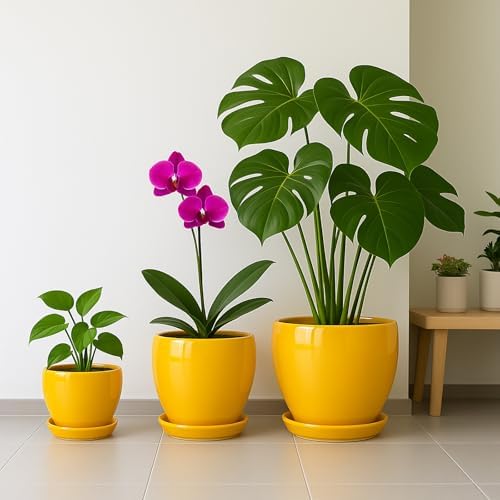 Deep Dream 8 Inch Plant Pots- Ceramic Pots for Plants with Drainage Hole and Saucer, Large Planter Pot for Indoor Plants Outdoor Decor, Yellow - Image 5