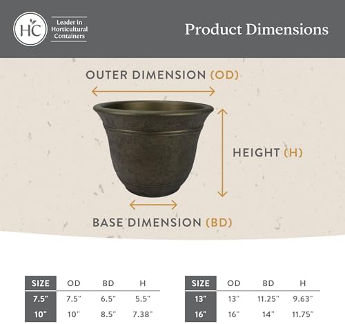 The HC Companies Sierra Round Self-Watering Pot - Lightweight Plastic Planter for Herbs & More - Durable Plant Pots for Indoor Plants & Outdoor Plants (10” Black Onyx, Pack of 1) - Image 6