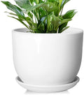8 Inch Ceramic Plant Pot,Ceramic Planter,White by YUFDA