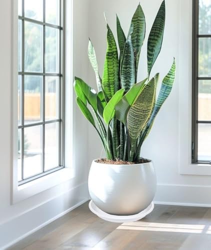 4 Pack of 16 inch Plant Saucer, Large Plant Tray, Heavy Sturdy Plant Drainage Tray for Indoors, Bird Bath Bowls, Sturdy 18 inch Plastic Pot Tray for Planter (White) - Image 5