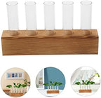 Hydroponic Test Tube Vase Set with Wood Stand for Desk Plants - Image 4