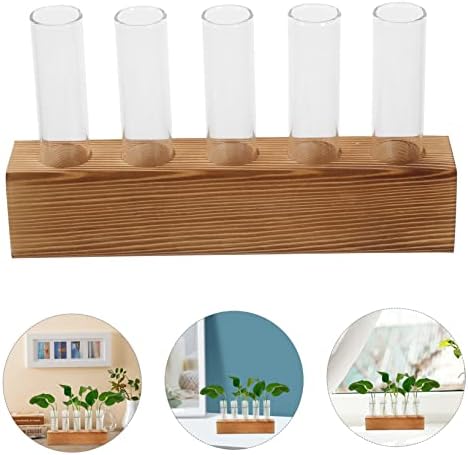 Hydroponic Test Tube Vase Set with Wood Stand for Desk Plants - Image 4