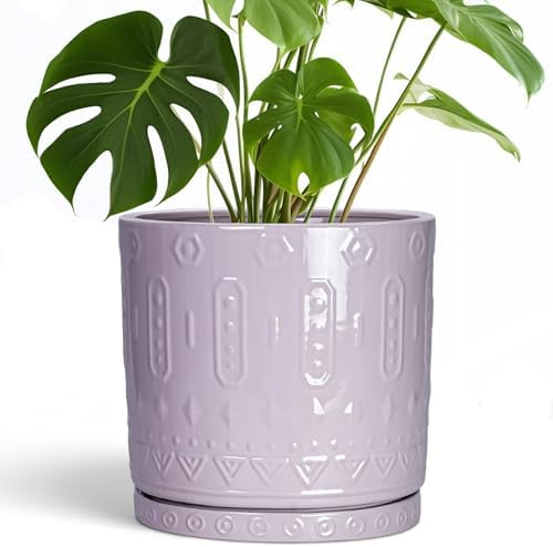 Eightpot 10 Inch Planter, Ceramic Plant Pots for Indoor Outdoor, Round Pot for Plants with Drainage Hole and Sacuer, Boho Plant Pot, Decorative Flower Pots, Living Room Decor, Purple by Eightpot