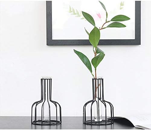 Glass Propagation Station with Metal Frame,Test Tube Vase for Hydroponic Plant, Metal Flower Vase Test Tube Pot Decorative Bottles Centerpieces for Wedding Home Décor (Gold Large 26CM) - Image 7