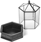 H Potter Six-Sided Glass Terrarium Wardian Case Succulent Planter - Image 3