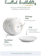LE TAUCI Ceramic Orchid Pot, 6.5 Inch Orchid Pots with Holes, Orchid Planter for Repotting, Indoor Flower Plant Pot with Drainage and Saucer, White - Image 6
