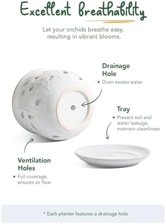 LE TAUCI Ceramic Orchid Pot, 6.5 Inch Orchid Pots with Holes, Orchid Planter for Repotting, Indoor Flower Plant Pot with Drainage and Saucer, White - Image 6