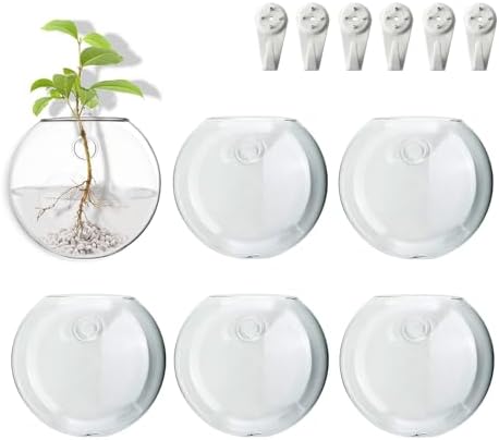 Wall Mount Plant Propagation Station - Clear Hydroponic Glass Vase, Oblate Planter for Indoor Plants | Perfect for Home, Office, Bathroom Decor | Gift for Plant Lovers (6) by wangsdjy