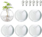 Wall Mount Plant Propagation Station - Clear Hydroponic Glass Vase, Oblate Planter for Indoor Plants | Perfect for Home, Office, Bathroom Decor | Gift for Plant Lovers (6) by wangsdjy