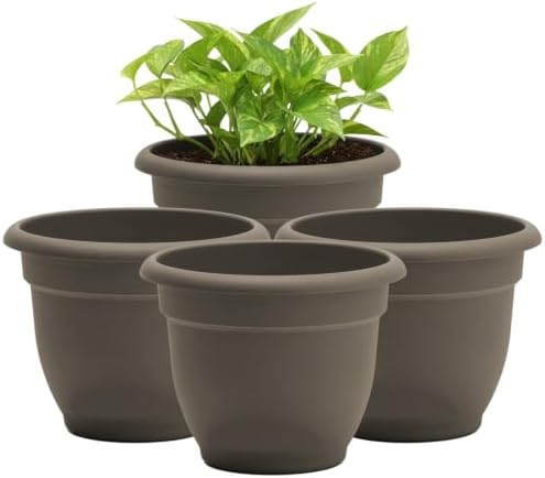 Bloem Ariana 8" Plastic Self-Watering Planter, Peppercorn, 4-Pack by Bloem