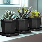 LWALRS Square Plant Saucer 20 22 Inch 2 Pack, Extra Large Plant Saucers, Deep Plant Trays for Pots, Heavy Plastic Water Tray Tor Plants, Planters for Indoors and Outdoors Plants (20 inch Black) - Image 3