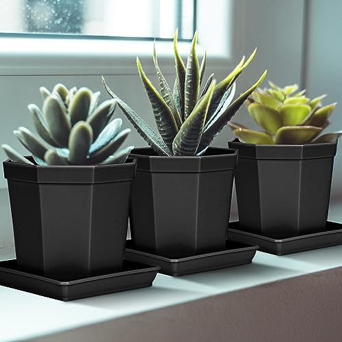 LWALRS Square Plant Saucer 20 22 Inch 2 Pack, Extra Large Plant Saucers, Deep Plant Trays for Pots, Heavy Plastic Water Tray Tor Plants, Planters for Indoors and Outdoors Plants (20 inch Black) - Image 3
