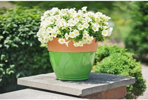 Garden Elements Plastic Indoor/Outdoor Colored Planter with Terra Cotta-Colored Rim, Lightweight, Durable, and Versatile with Drainage Holes, Green, 15” - Image 3