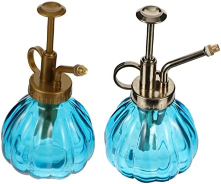 Vintage Glass Spray Bottles 2 Pack for Plants and Succulents by Happyyami