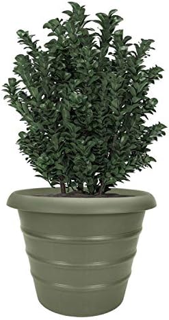 The HC Companies 16 Inch Marina Planter Lightweight Indoor Outdoor Plastic Plant Pot for Herbs and Flowers, Seafoam - Image 2