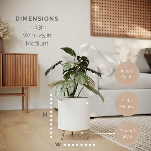 EverNest Claire Honeycomb Neutral White Planter with Nyra Stand, Indoor Plant Pots, SelectBase, Mid-Century Modern, Boho Style Home Decor for Plants (Medium, Gold) - Image 2