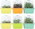 Microgreen Growing Trays, 5" x 5" Sprouting Tray with Humidity Dome, 1.2 mm Small Mesh Holes, BPA Free, Sprouter Kit for Growing Mirco Seeds, Like Broccoli, Alfalfa, Radish, Clover - 6 Pack | Colorful by LUVCOSY