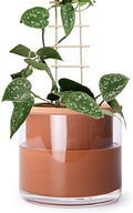 Phoenix Vine 6 Inch Self Watering Plants Pot, Design Terracotta Pot for Plants, Indoor Cylinder Terra Cotta Planter with Glass Vase, Set of 1, 51-A-F-1 by Phoenix+Vine