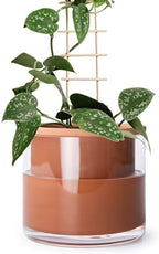Phoenix Vine 6 Inch Self Watering Plants Pot, Design Terracotta Pot for Plants, Indoor Cylinder Terra Cotta Planter with Glass Vase, Set of 1, 51-A-F-1 by Phoenix+Vine