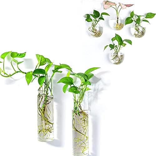 Kingbuy Wall Planter Terrariums Propagation Stations - 2 Cylinder Shaped and 4 Egg Shaped Glass Vases by Kingbuy