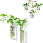 Kingbuy Wall Planter Terrariums Propagation Stations - 2 Cylinder Shaped and 4 Egg Shaped Glass Vases by Kingbuy